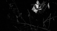 Blair Witch Pizza GIF by Speedy Ortiz