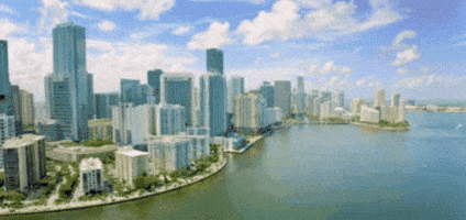 Miami Beach GIF by BattleFin