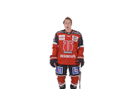 Bobby Orebro Sticker by Örebro Hockey