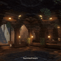 Basement Storage Room GIF