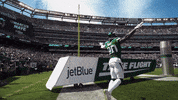 nyjets sports football sport nfl GIF