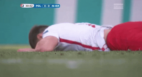 euro 2016 GIF by Sporza