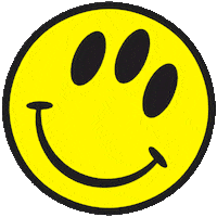 pasquale rotella edc Sticker by Insomniac Events