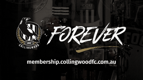 fan history GIF by CollingwoodFC