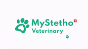 Cat Dog GIF by MyStetho