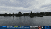 Bow Down Washington Football Team GIF by Washington Athletics