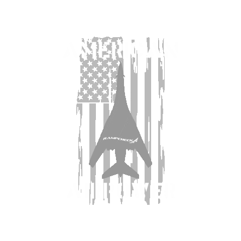 American Usa Sticker by RampCheckGlobal