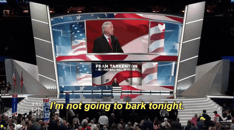 republican national convention rnc GIF by Election 2016