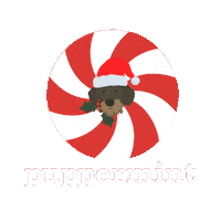 Fun Christmas Sticker by Prairie Paws Animal Shelter