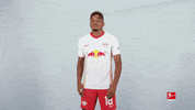 Happy Rb Leipzig GIF by Bundesliga