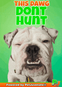 Henlo Hooman Fren GIF by PetJuvenate - PJ