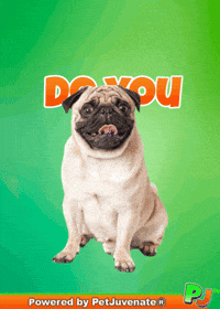 Dog Talk GIF by PetJuvenate - PJ
