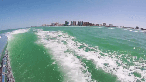travel vacation GIF