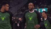 Regular Season Sport GIF by NBA