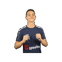 Sport Heerlen Sticker by Groene ster