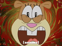 season 3 episode 20 GIF by SpongeBob SquarePants