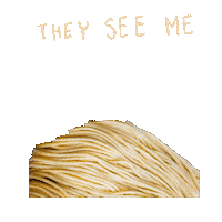 Rolling West Chester Sticker by Carlino's Market