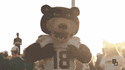 Football College GIF by Baylor University