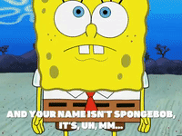 season 5 GIF by SpongeBob SquarePants