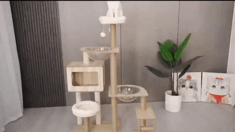 parisleelee giphyupload GIF