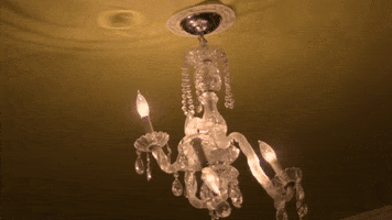 meowwolf meow wolf meowwolf meow wolf santa fe house of eternal return GIF