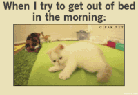 crawling GIF