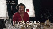 Channel 5 Lol GIF by All Creatures Great And Small