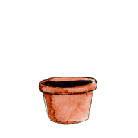 cactus Sticker by malditapelirroja