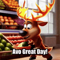 Avocado Grocery Shopping GIF by elkijahspark