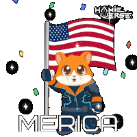 Independence Day Usa Sticker by Hamieverse