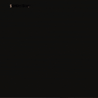 Funny Message GIF by FlySMarketing.com
