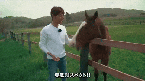 Horse Attack GIF