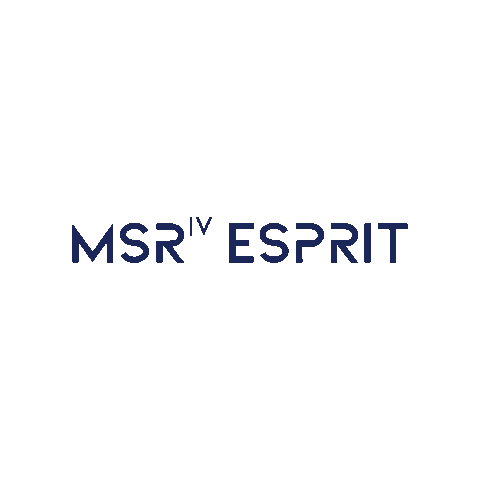 Msriv Esprit Sticker by Reutech Mining