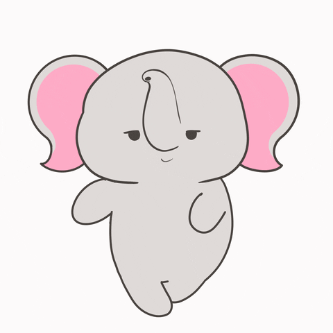 untamedelephants dance cute cool animals GIF