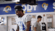 Los Angeles Football GIF by NFL