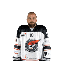 Martin Hokej Sticker by Piráti Chomutov