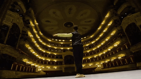 novat giphygifmaker bolshoi GIF