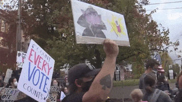 Count Every Vote Protest GIF by GIPHY News
