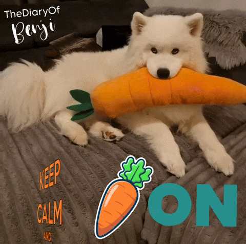 Carrot Benji GIF