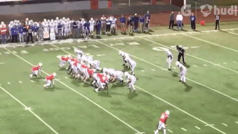 bson1011 giphygifmaker GIF