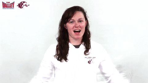 Southern Illinois Mvc GIF by Missouri Valley Conference