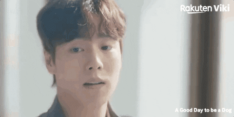 Cha Eun Woo Kdrama Couple GIF by Viki