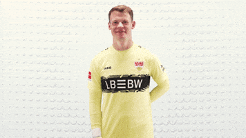 Vfb Stuttgart Football GIF by Bundesliga