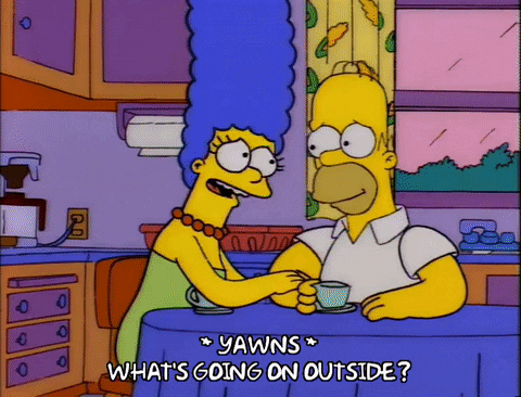 homer simpson GIF