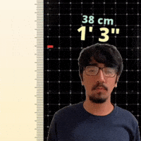 1' 3"