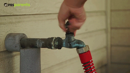 GIF by PBS