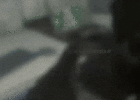 Friendly Fire GIF