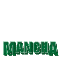 Libertadores Sticker by Mancha Verde