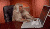 Technology Monkey GIF