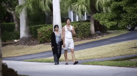 giphy.gif
